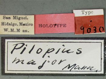 Media type: image;   Entomology 9030 Aspect: labels
